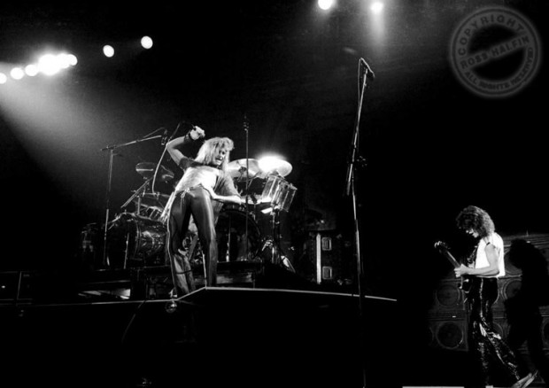 Photos: Van Halen In Concert, 1979! | Van Halen News Desk